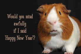 New Year's Guinea Pig