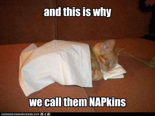 Napkin Kitty