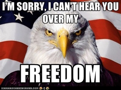Fourth of July Bald Eagle